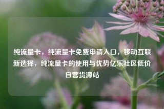纯流量卡，纯流量卡免费申请入口，移动互联新选择，纯流量卡的使用与优势亿乐社区低价自营货源站