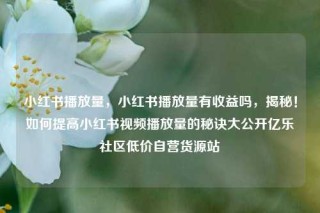 小红书播放量，小红书播放量有收益吗，揭秘！如何提高小红书视频播放量的秘诀大公开亿乐社区低价自营货源站