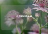 抖音官方直播间