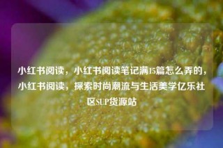 小红书阅读，小红书阅读笔记满15篇怎么弄的，小红书阅读，探索时尚潮流与生活美学亿乐社区SUP货源站