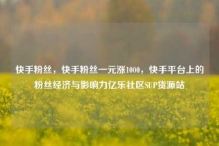 快手粉丝，快手粉丝一元涨1000，快手平台上的粉丝经济与影响力亿乐社区SUP货源站