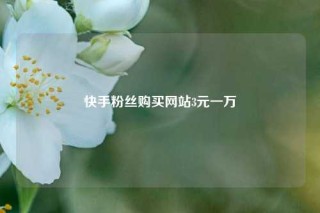 快手粉丝购买网站3元一万