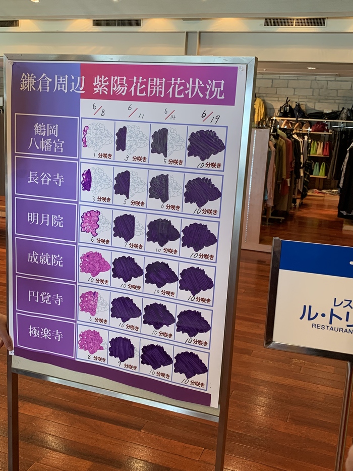 花开之处，便是故地  第31张