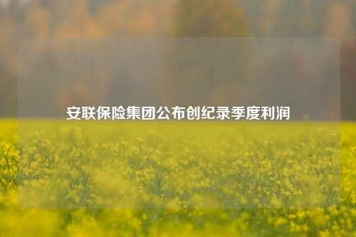 安联保险集团公布创纪录季度利润  第1张
