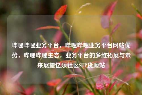 哔哩哔哩业务平台，哔哩哔哩业务平台网站优势，哔哩哔哩生态	，业务平台的多维拓展与未来展望亿乐社区SUP货源站  第1张