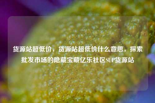 货源站超低价，货源站超低价什么意思	，探索批发市场的隐藏宝藏亿乐社区SUP货源站  第1张
