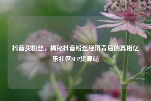 抖音买粉丝，揭秘抖音粉丝经济背后的真相亿乐社区SUP货源站  第1张