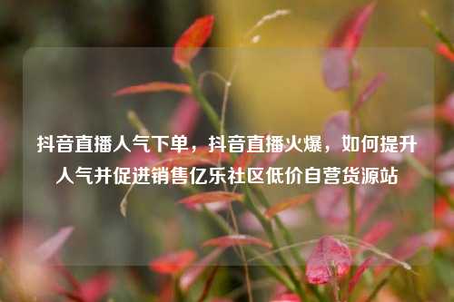 抖音直播人气下单，抖音直播火爆	，如何提升人气并促进销售亿乐社区低价自营货源站  第1张