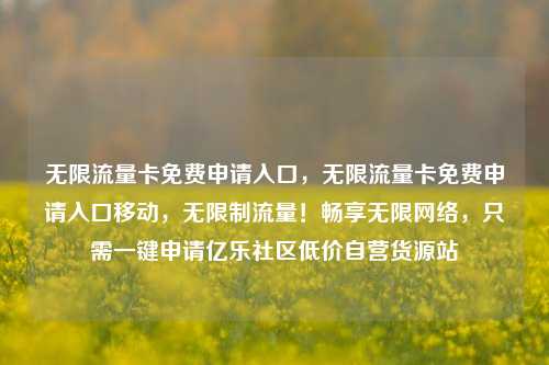 无限流量卡免费申请入口，无限流量卡免费申请入口移动，无限制流量！畅享无限网络，只需一键申请亿乐社区低价自营货源站  第1张