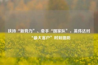 扶持“新势力”、牵手“国家队”，英伟达对“最大客户”时刻提防