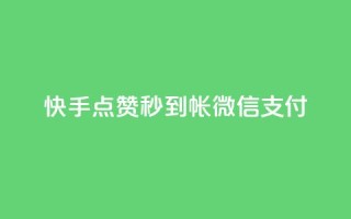 快手点赞秒到帐微信支付,快手双击24小时在线 - 全网下单平台 - 抖音点赞充值链接在哪里