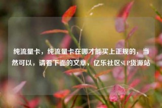 纯流量卡，纯流量卡在哪才能买上正规的，当然可以，请看下面的文章，亿乐社区SUP货源站