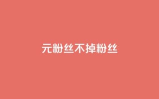 1元3000粉丝不掉粉丝,24小时微商软件自助下单商城 - 快手业务全网最低价 - 全民K歌粉丝下单