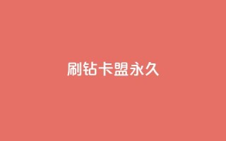 qq刷钻卡盟永久,qq带刷网卡盟 - 抖音涨粉丝的工具有哪些 - 178云网络售卡平台