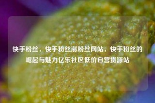 快手粉丝，快手粉丝涨粉丝网站，快手粉丝的崛起与魅力亿乐社区低价自营货源站