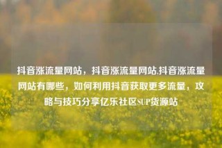 抖音涨流量网站，抖音涨流量网站,抖音涨流量网站有哪些，如何利用抖音获取更多流量，攻略与技巧分享亿乐社区SUP货源站