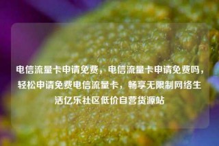 电信流量卡申请免费，电信流量卡申请免费吗，轻松申请免费电信流量卡，畅享无限制网络生活亿乐社区低价自营货源站