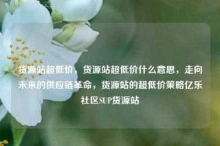 货源站超低价，货源站超低价什么意思，走向未来的供应链革命，货源站的超低价策略亿乐社区SUP货源站