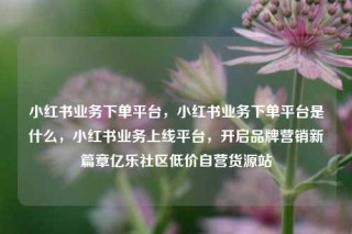 小红书业务下单平台，小红书业务下单平台是什么，小红书业务上线平台，开启品牌营销新篇章亿乐社区低价自营货源站