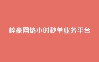 梓豪网络24小时秒单业务平台,闲鱼自助下单 - 快手b站粉丝一元1000个活粉 - 云小店QQ快手点赞