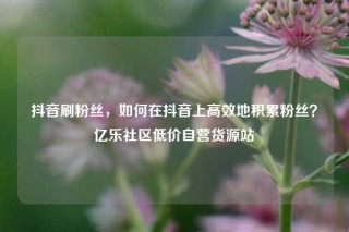 抖音刷粉丝，如何在抖音上高效地积累粉丝？亿乐社区低价自营货源站