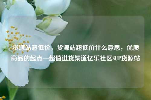货源站超低价，货源站超低价什么意思，优质商品的起点—超值进货渠道亿乐社区SUP货源站  第1张