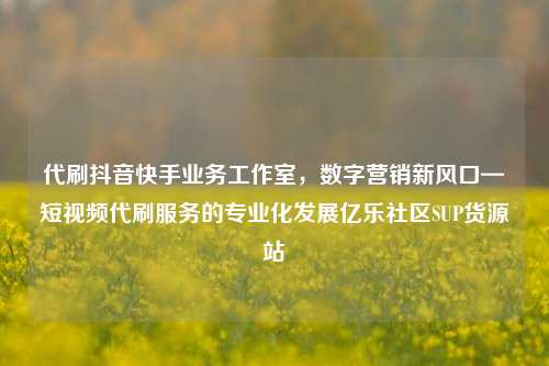 代刷抖音快手业务工作室，数字营销新风口—短视频代刷服务的专业化发展亿乐社区SUP货源站  第1张