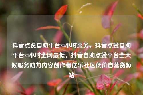 抖音点赞自助平台24小时服务	，抖音点赞自助平台24小时全网最低，抖音自助点赞平台全天候服务助力内容创作者亿乐社区低价自营货源站  第1张