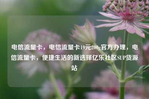 电信流量卡，电信流量卡19元200g官方办理	，电信流量卡，便捷生活的新选择亿乐社区SUP货源站  第1张