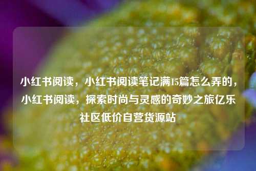 小红书阅读，小红书阅读笔记满15篇怎么弄的，小红书阅读	，探索时尚与灵感的奇妙之旅亿乐社区低价自营货源站  第1张