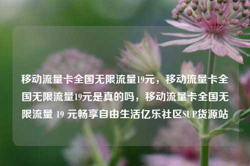 移动流量卡全国无限流量19元，移动流量卡全国无限流量19元是真的吗，移动流量卡全国无限流量 19 元畅享自由生活亿乐社区SUP货源站  第1张