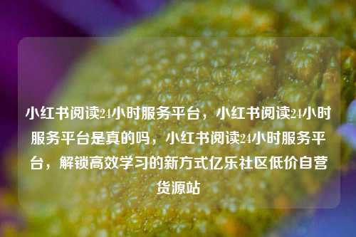 小红书阅读24小时服务平台	，小红书阅读24小时服务平台是真的吗，小红书阅读24小时服务平台，解锁高效学习的新方式亿乐社区低价自营货源站  第1张