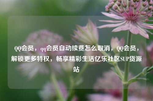 QQ会员，qq会员自动续费怎么取消，QQ会员	，解锁更多特权，畅享精彩生活亿乐社区SUP货源站  第1张