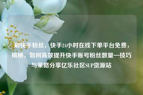 刷快手粉丝，快手24小时在线下单平台免费，揭秘	，如何高效提升快手账号粉丝数量—技巧与策略分享亿乐社区SUP货源站  第1张