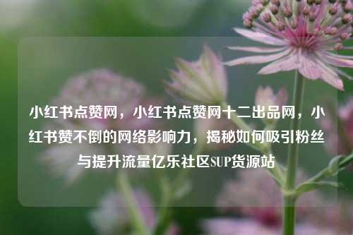 小红书点赞网，小红书点赞网十二出品网	，小红书赞不倒的网络影响力，揭秘如何吸引粉丝与提升流量亿乐社区SUP货源站  第1张