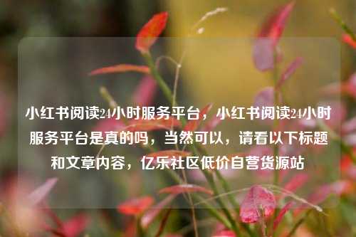小红书阅读24小时服务平台	，小红书阅读24小时服务平台是真的吗，当然可以，请看以下标题和文章内容，亿乐社区低价自营货源站  第1张