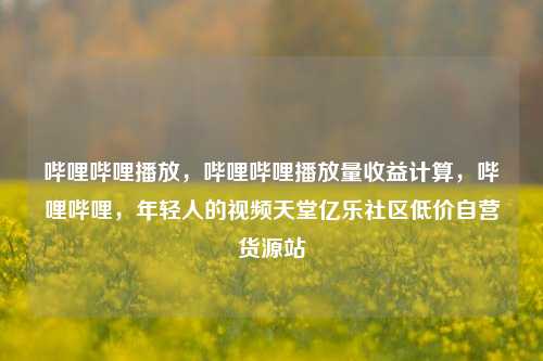 哔哩哔哩播放，哔哩哔哩播放量收益计算	，哔哩哔哩，年轻人的视频天堂亿乐社区低价自营货源站  第1张