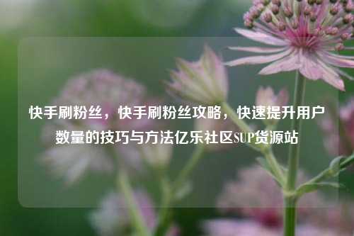 快手刷粉丝，快手刷粉丝攻略，快速提升用户数量的技巧与方法亿乐社区SUP货源站  第1张