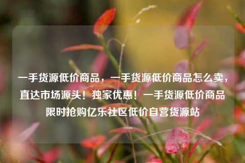 一手货源低价商品，一手货源低价商品怎么卖	，直达市场源头！独家优惠！一手货源低价商品限时抢购亿乐社区低价自营货源站  第1张