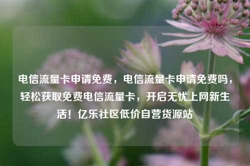 电信流量卡申请免费，电信流量卡申请免费吗	，轻松获取免费电信流量卡，开启无忧上网新生活！亿乐社区低价自营货源站  第1张
