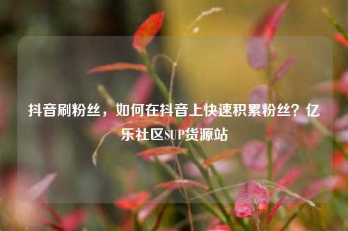 抖音刷粉丝，如何在抖音上快速积累粉丝？亿乐社区SUP货源站  第1张