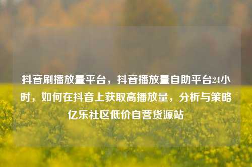 抖音刷播放量平台	，抖音播放量自助平台24小时，如何在抖音上获取高播放量，分析与策略亿乐社区低价自营货源站  第1张