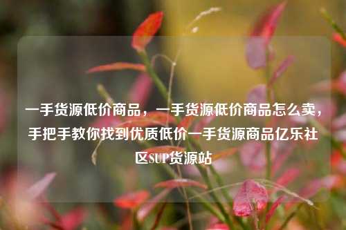 一手货源低价商品	，一手货源低价商品怎么卖，手把手教你找到优质低价一手货源商品亿乐社区SUP货源站  第1张