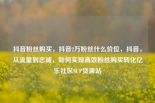 抖音粉丝购买，抖音2万粉丝什么价位，抖音	，从流量到忠诚，如何实现高效粉丝购买转化亿乐社区SUP货源站  第1张
