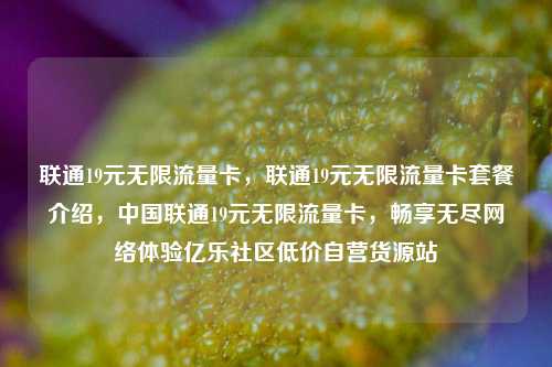 联通19元无限流量卡，联通19元无限流量卡套餐介绍，中国联通19元无限流量卡	，畅享无尽网络体验亿乐社区低价自营货源站  第1张