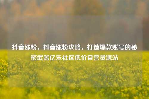抖音涨粉，抖音涨粉攻略，打造爆款账号的秘密武器亿乐社区低价自营货源站  第1张