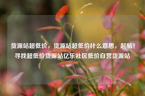 货源站超低价	，货源站超低价什么意思，起航！寻找超低价货源站亿乐社区低价自营货源站  第1张