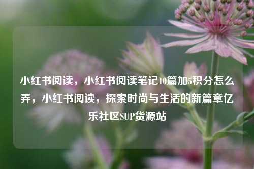 小红书阅读，小红书阅读笔记10篇加5积分怎么弄，小红书阅读	，探索时尚与生活的新篇章亿乐社区SUP货源站  第1张