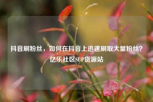 抖音刷粉丝，如何在抖音上迅速刷取大量粉丝？亿乐社区SUP货源站  第1张
