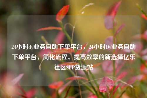24小时dy业务自助下单平台，24小时Dy业务自助下单平台	，简化流程、提高效率的新选择亿乐社区SUP货源站  第1张